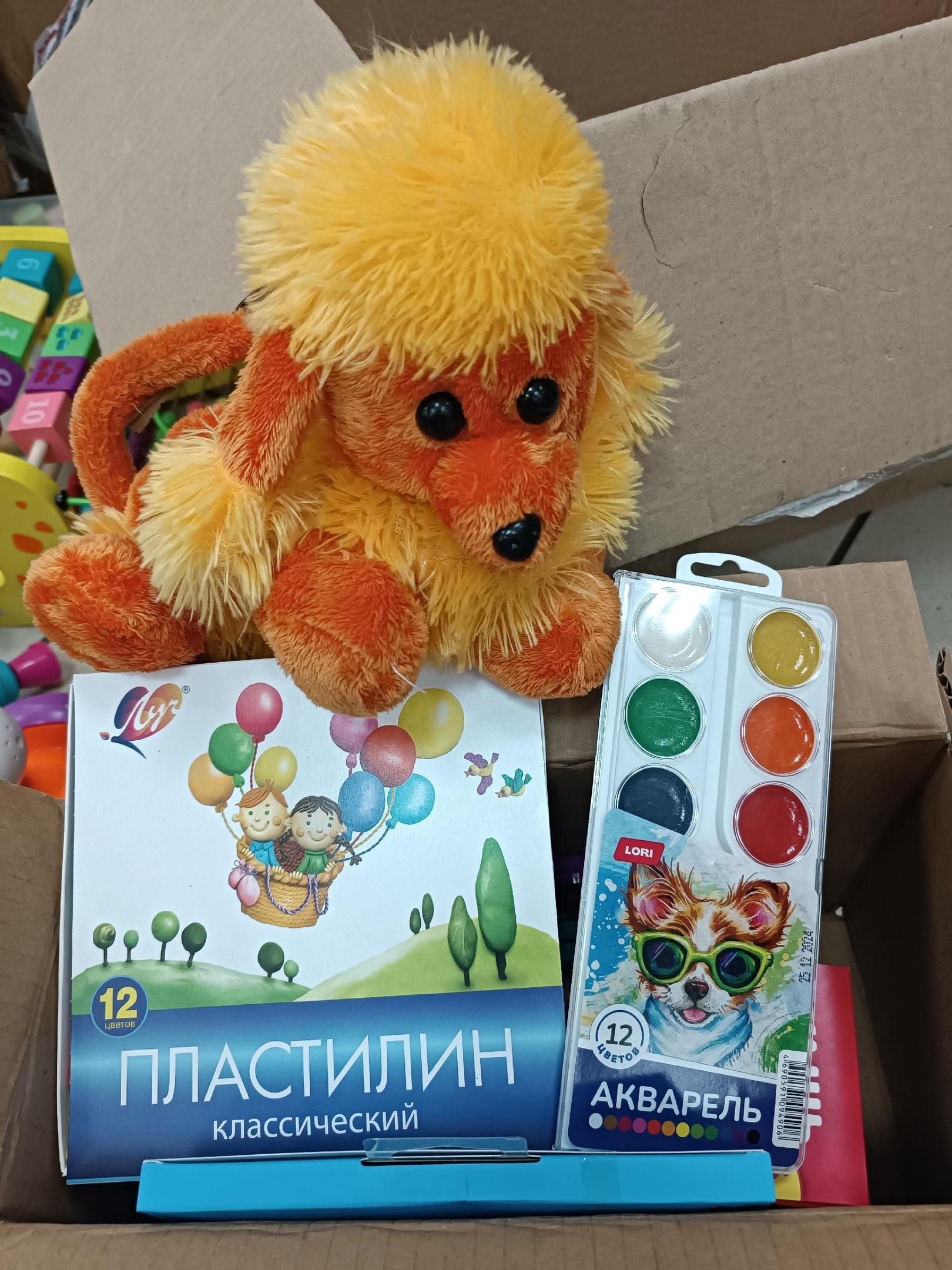 Для ребят из детских домов Макеевки и Красного Лимана отправили гумпомощь из Новосибирской области